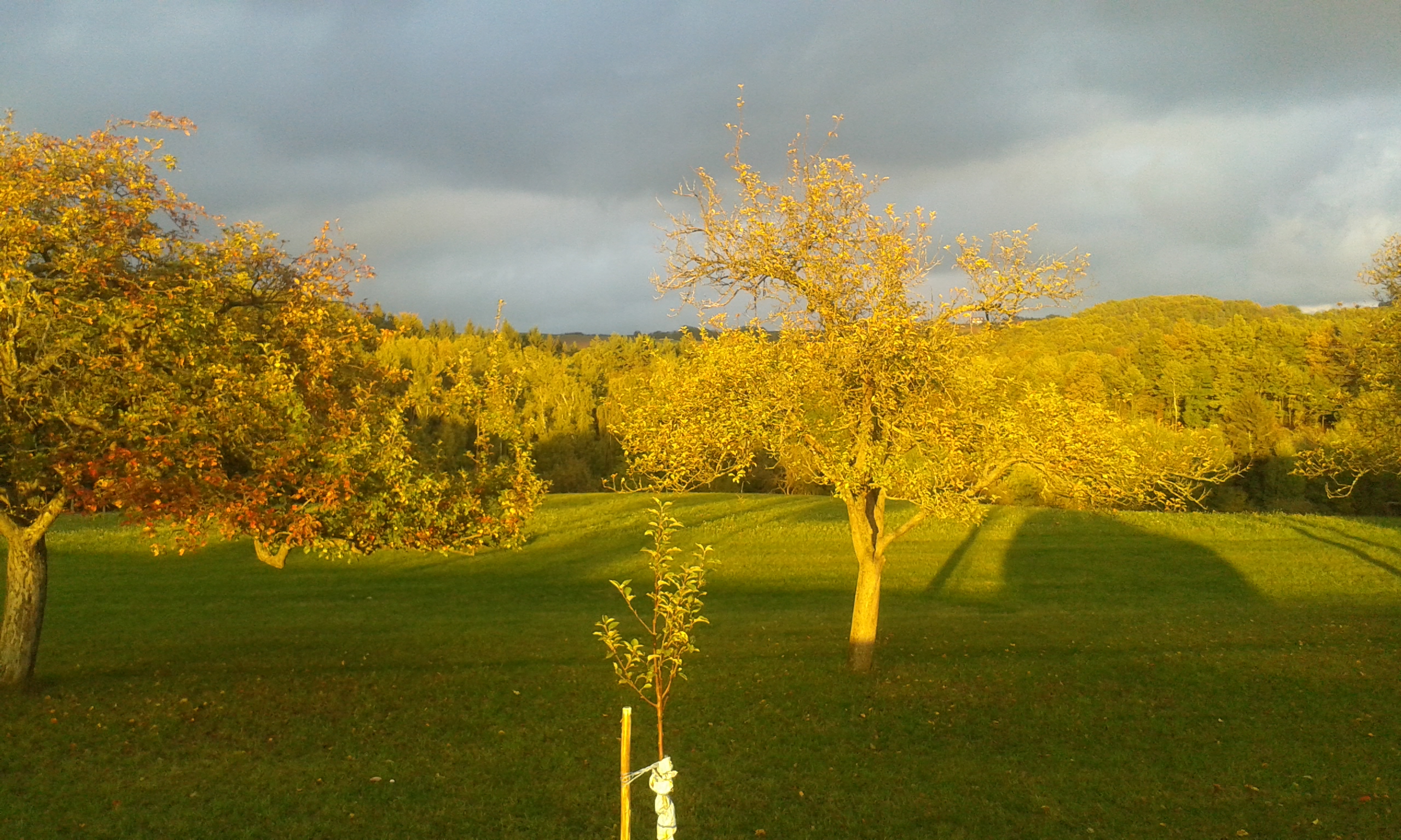 Sonnenuntergang