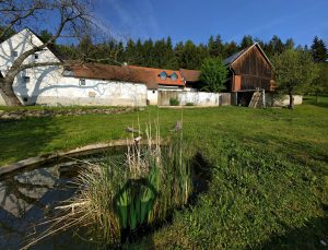 Das Bauernhaus DIE-PHARM