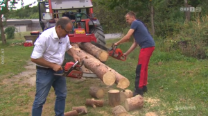 Holzfällen das essperiment 2.0